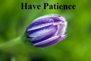 Patience flower, God realization, Cultivating a relationship with God