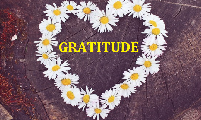 Gratitude: Important for Body, Mind, & Soul