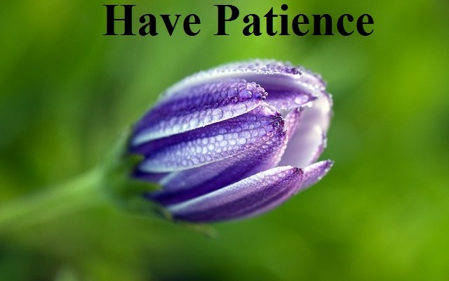 Patience flower, God realization, Cultivating a relationship with God